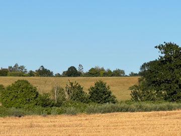 fields