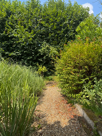 garden