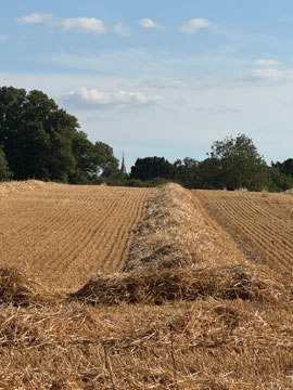 straw