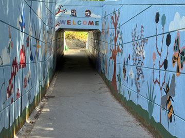 tunnel
