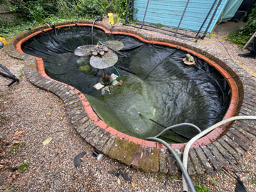 pond