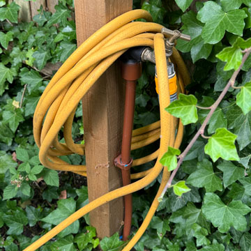 hosepipe