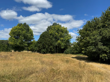 park