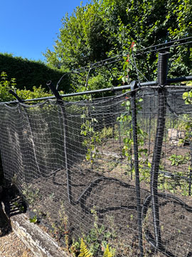 veg beds