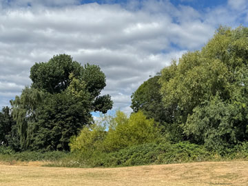 park