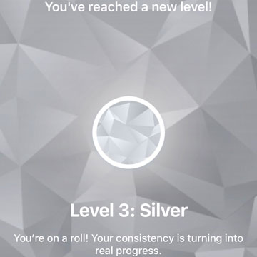 silver award