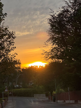 sunset
