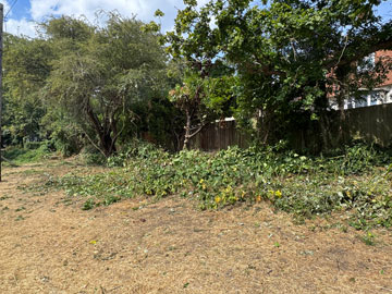 Hillview Hollow