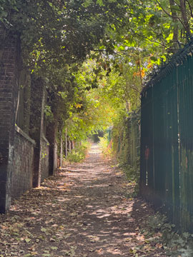 pathway