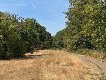 park