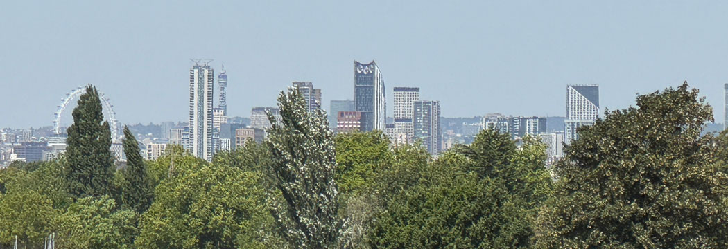 view