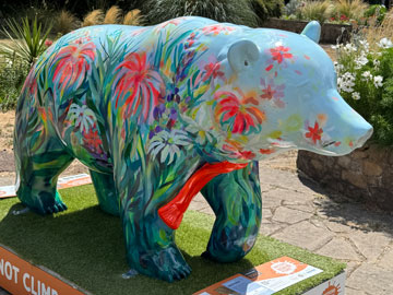 bear