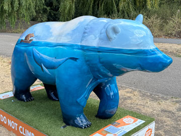 bear