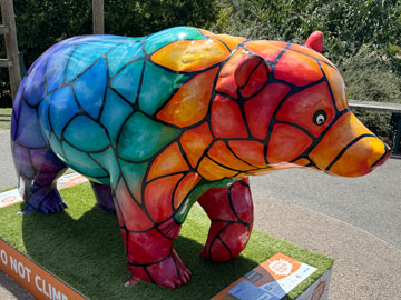 bear