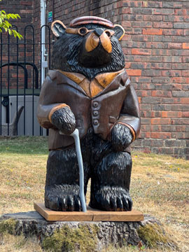 bear