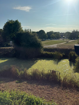 view from window