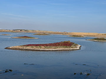 nature reserve