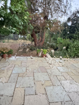 rain
