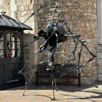 spider