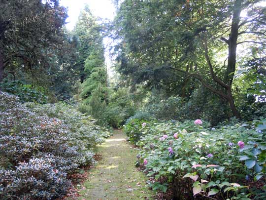garden