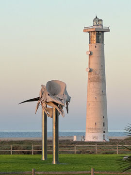 whale and lighthouse
