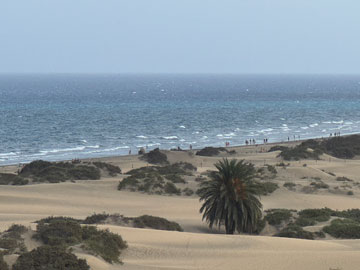 sea