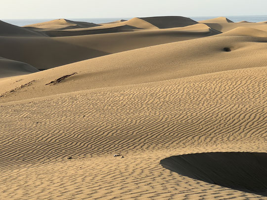 dunes
