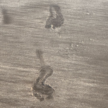 footsteps
