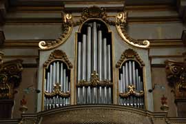 organ