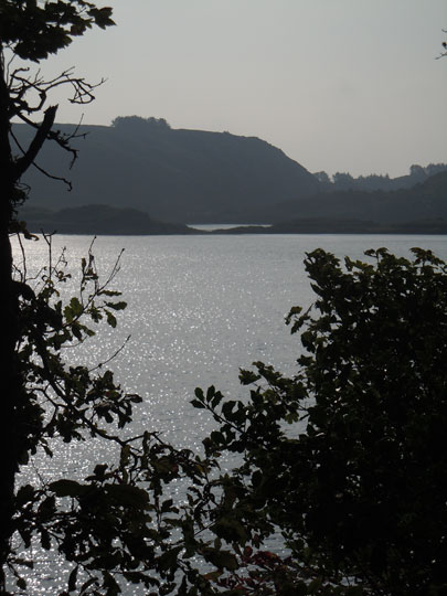 lough hyne